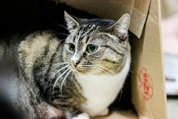 Wie man seine Finanzen verwaltet und ihre langfristigen Auswirkungen